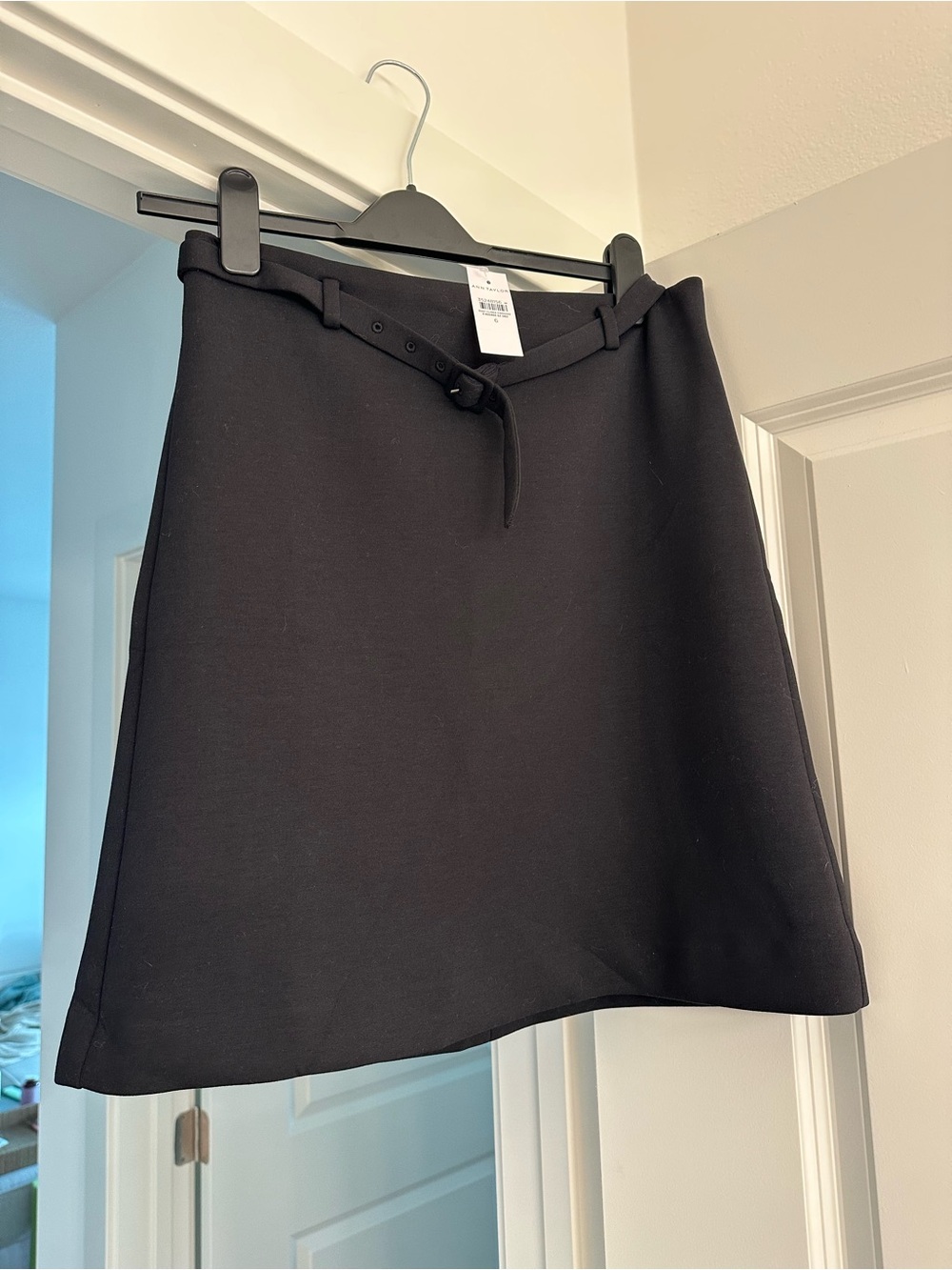 NWT Ann Taylor Skirt